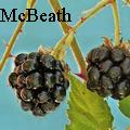 KayMcBeath